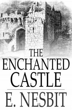 Cover of the book The Enchanted Castle by Murray Leinster
