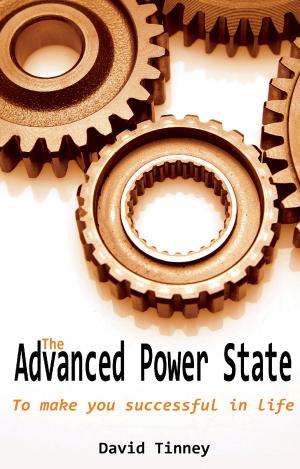 Cover of the book The Advanced Power State by Juliet Castle