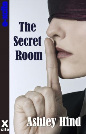 Cover of the book The Secret Room by Elise Hepner