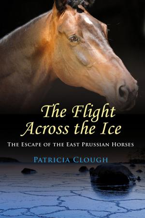 Book cover of The Flight Across The Ice