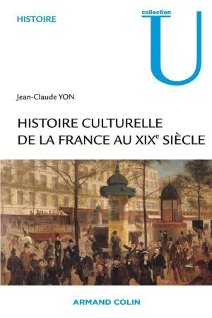 Cover of the book Histoire culturelle de la France au XIXe siècle by Anne Gillain, Michel Marie