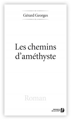 Cover of the book Les Chemins d'améthyste by Jean-Christian PETITFILS