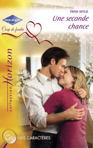 Cover of the book Une seconde chance (Harlequin Horizon) by Susan Stephens