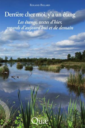 Cover of the book Derrière chez moi, y'a un étang by Bernard Faye