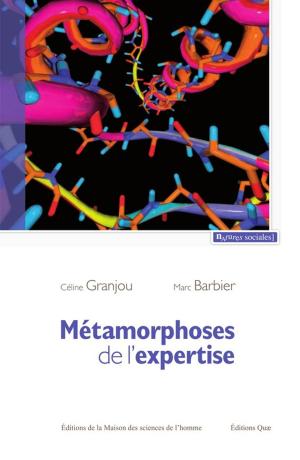 Cover of the book Métamorphoses de l'expertise by Jean-Pierre Jouany