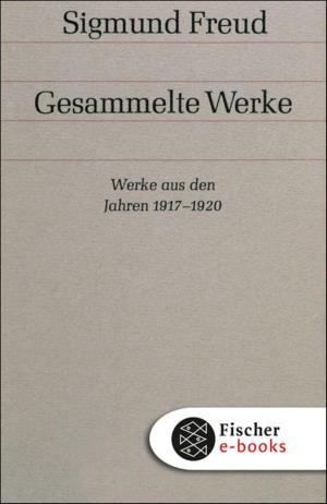 Cover of the book Werke aus den Jahren 1917-1920 by Thomas Mann