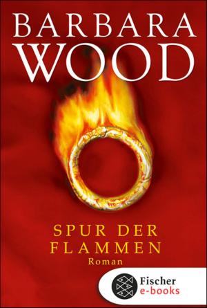 Book cover of Spur der Flammen
