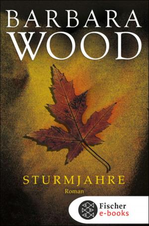 Cover of the book Sturmjahre by Cédric Villani