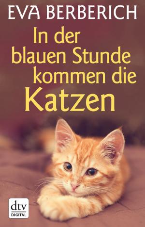 Book cover of In der Blauen Stunde kommen die Katzen