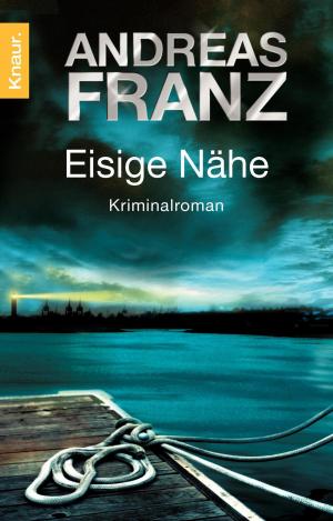 Book cover of Eisige Nähe