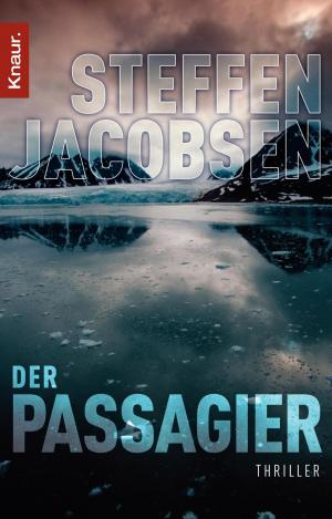Cover of the book Der Passagier by Jessica Kastrop