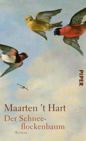 Cover of the book Der Schneeflockenbaum by Sarah Harvey