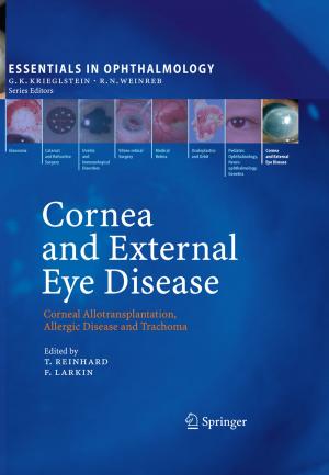 Cover of the book Cornea and External Eye Disease by Michihiro Seta, Shen-yi Li, En-yu Wang