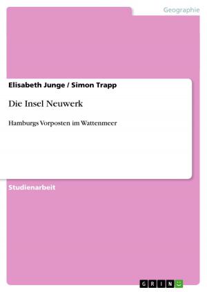Book cover of Die Insel Neuwerk