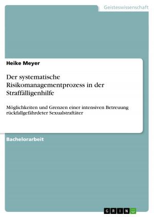 Book cover of Der systematische Risikomanagementprozess in der Straffälligenhilfe