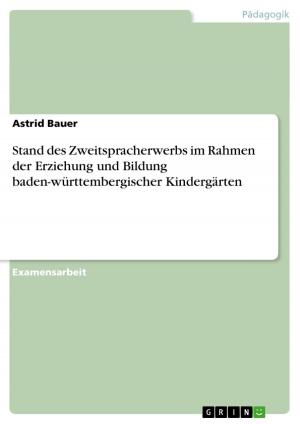 Book cover of Stand des Zweitspracherwerbs im Rahmen der Erziehung und Bildung baden-württembergischer Kindergärten