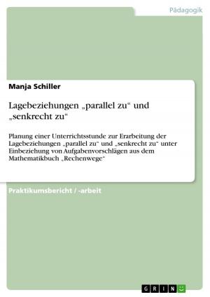 Cover of the book Lagebeziehungen 'parallel zu' und 'senkrecht zu' by Katja Otto
