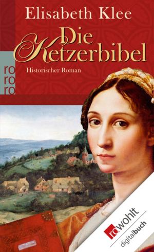 Cover of the book Die Ketzerbibel by Helmut Krausser