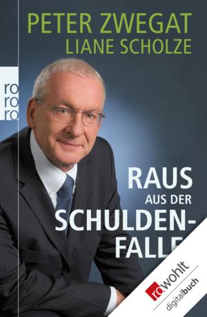 Cover of the book Raus aus der Schuldenfalle! by Walter Schmidt