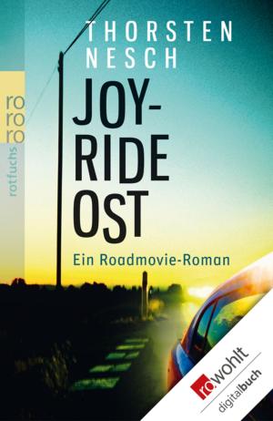 Cover of the book Joyride Ost by Ildikó von Kürthy