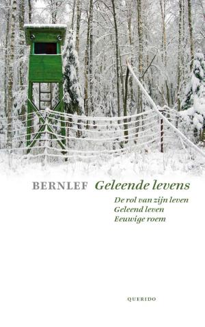 Cover of the book Geleende levens by Robert van Eijden
