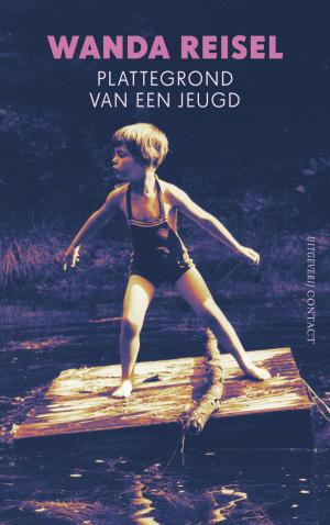 Cover of the book Plattegrond van een jeugd by Pim Wiersinga