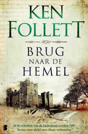 Cover of the book Brug naar de hemel by Karl May