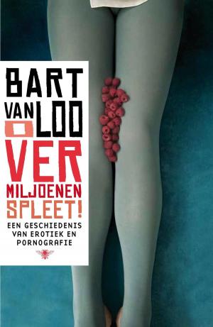 Cover of the book O vermiljoenen spleet by Willem Frederik Hermans