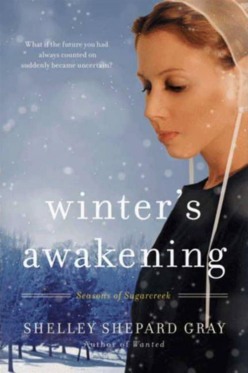 Cover of the book Winter's Awakening by Shelley Shepard Gray, HarperCollins e-books