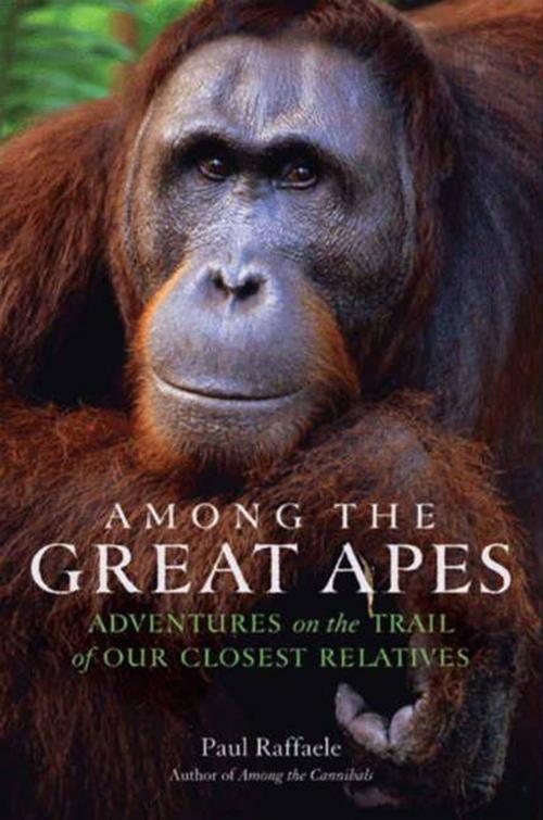 Cover of the book Among the Great Apes by Paul Raffaele, HarperCollins e-books