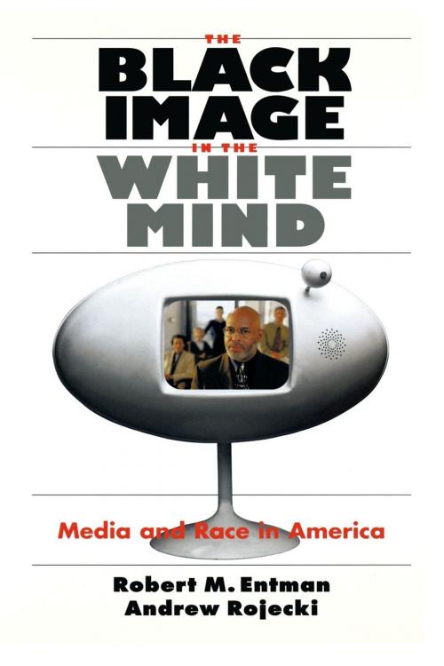 Cover of the book The Black Image in the White Mind by Robert M. Entman, Andrew Rojecki, University of Chicago Press
