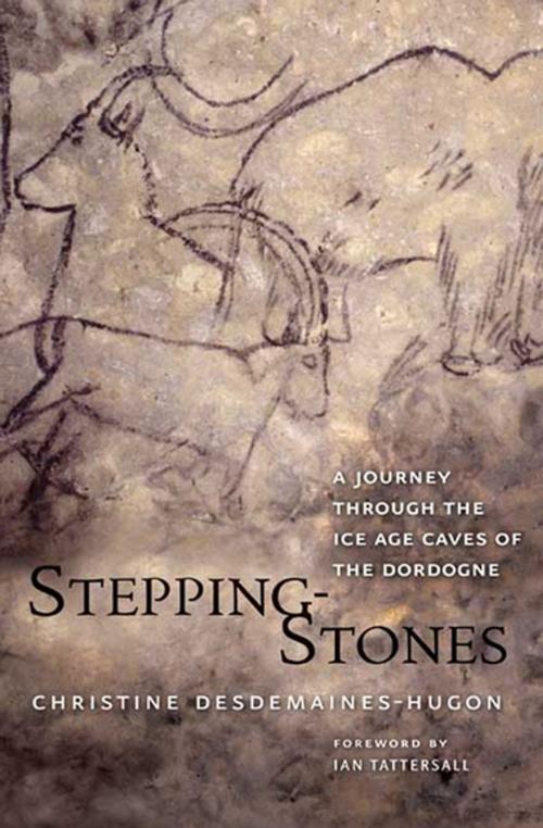 Cover of the book Stepping-Stones by Christine Desdemaines-Hugon, Yale University Press (Ignition)