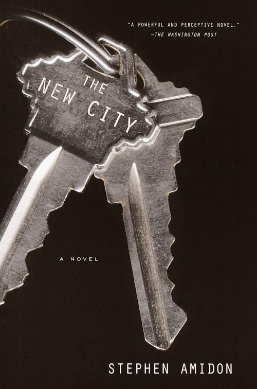 Cover of the book The New City by Stephen Amidon, Knopf Doubleday Publishing Group