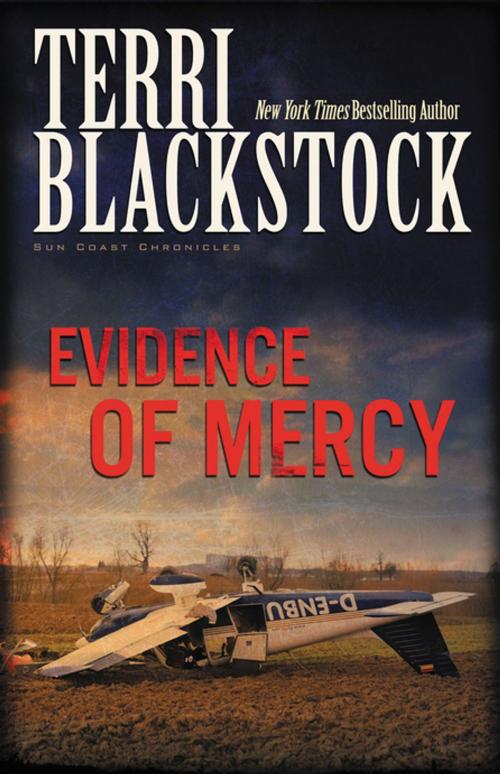 Cover of the book Evidence of Mercy by Terri Blackstock, Zondervan