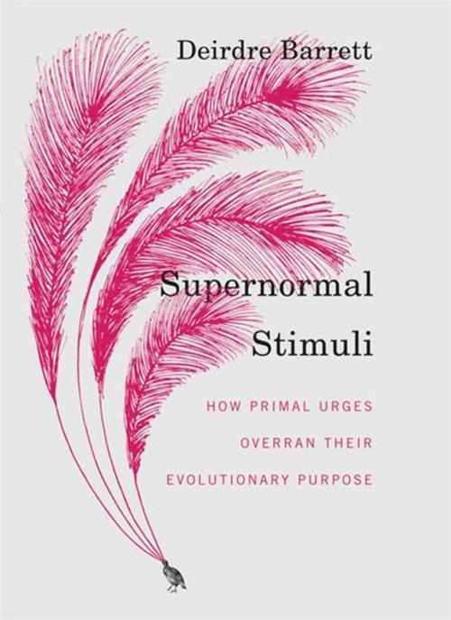 Cover of the book Supernormal Stimuli: How Primal Urges Overran Their Evolutionary Purpose by Deirdre Barrett, W. W. Norton & Company