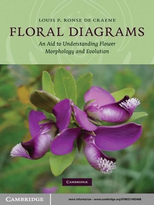 Cover of the book Floral Diagrams by Louis P. Ronse De Craene, Cambridge University Press