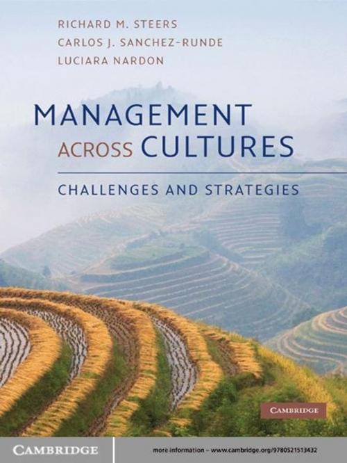 Cover of the book Management across Cultures by Richard M. Steers, Carlos J. Sanchez-Runde, Luciara Nardon, Cambridge University Press
