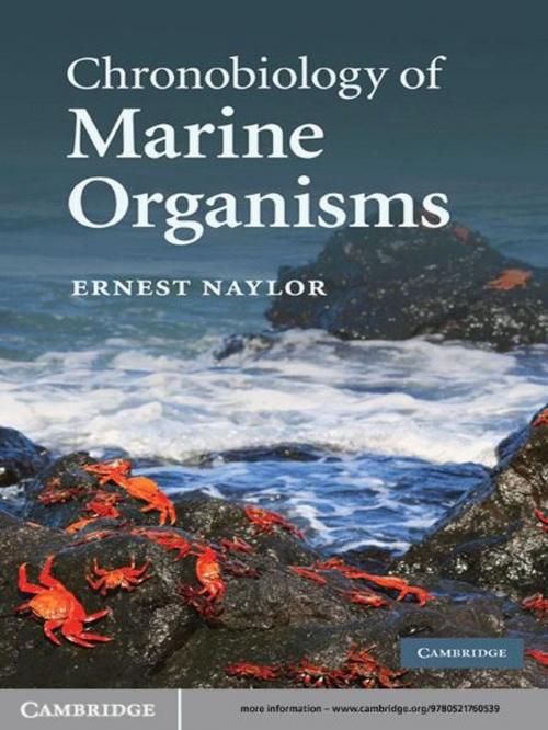 Cover of the book Chronobiology of Marine Organisms by Ernest Naylor, Cambridge University Press