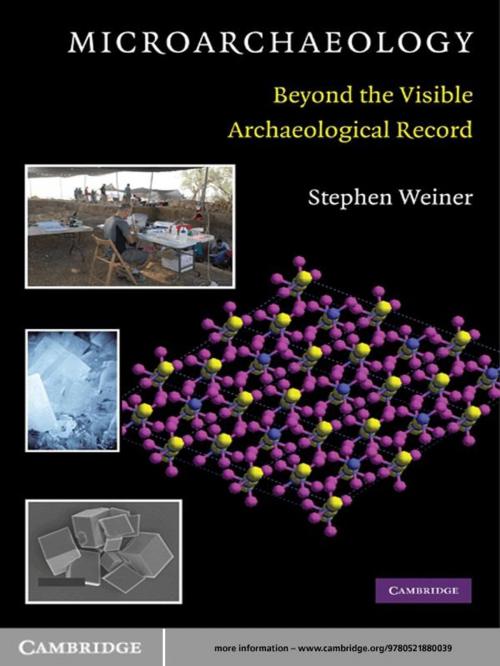 Cover of the book Microarchaeology by Stephen Weiner, Cambridge University Press