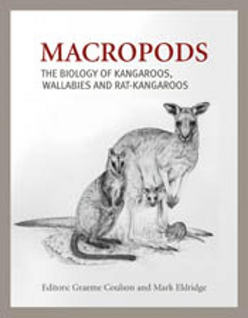 Cover of the book Macropods by , CSIRO PUBLISHING