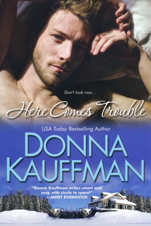 Cover of the book Here Comes Trouble by Donna Kauffman, Kensington Books