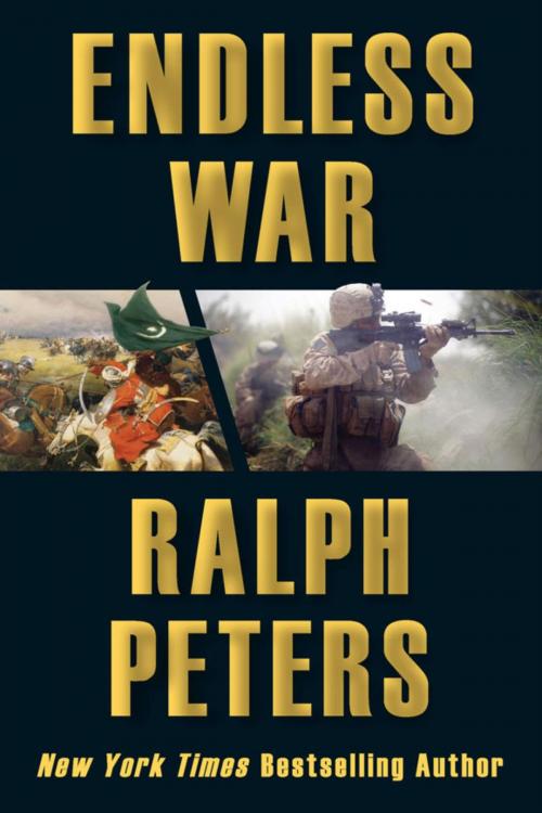 Cover of the book Endless War by Ralph Peters, Stackpole Books