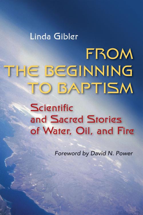 Cover of the book From the Beginning to Baptism by Linda Gibler OP, Liturgical Press