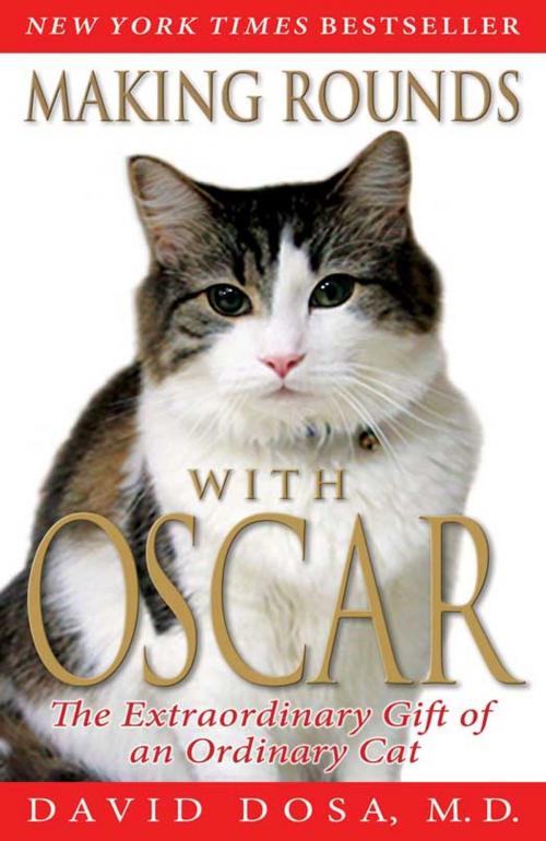 Cover of the book Making Rounds with Oscar by David Dosa, Hachette Books