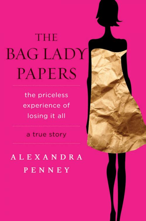 Cover of the book The Bag Lady Papers by Alexandra Penney, Hachette Books