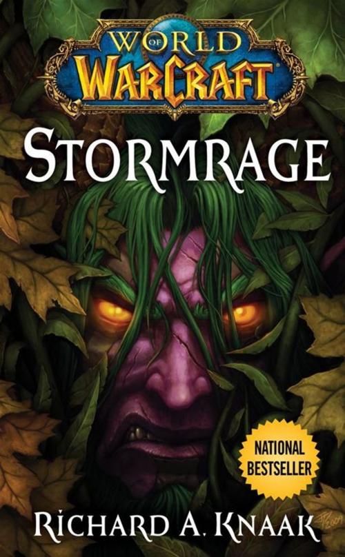 Cover of the book World of Warcraft: Stormrage by Richard A. Knaak, Pocket Books