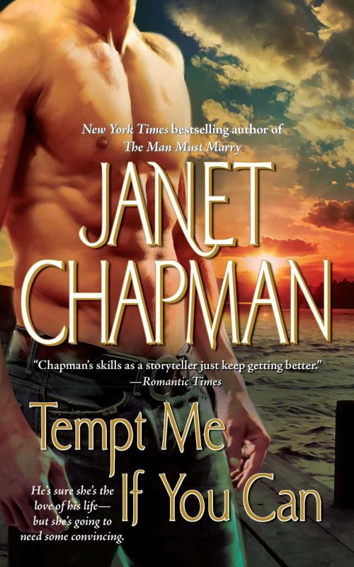 Cover of the book Tempt Me If You Can by Janet Chapman, Pocket Books