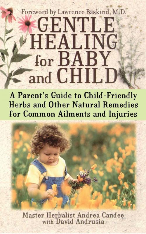 Cover of the book Gentle Healing for Baby and Child by Andrea Candee, Gallery Books