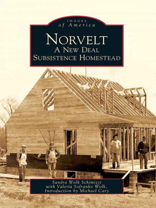 Cover of the book Norvelt by Sandra Wolk Schimizzi, Valeria Sofranko Wolk, Arcadia Publishing Inc.