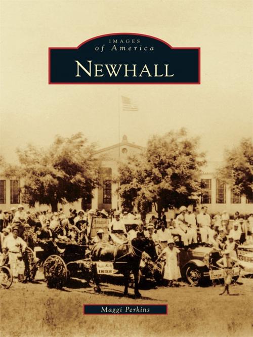 Cover of the book Newhall by Maggi Perkins, Arcadia Publishing Inc.